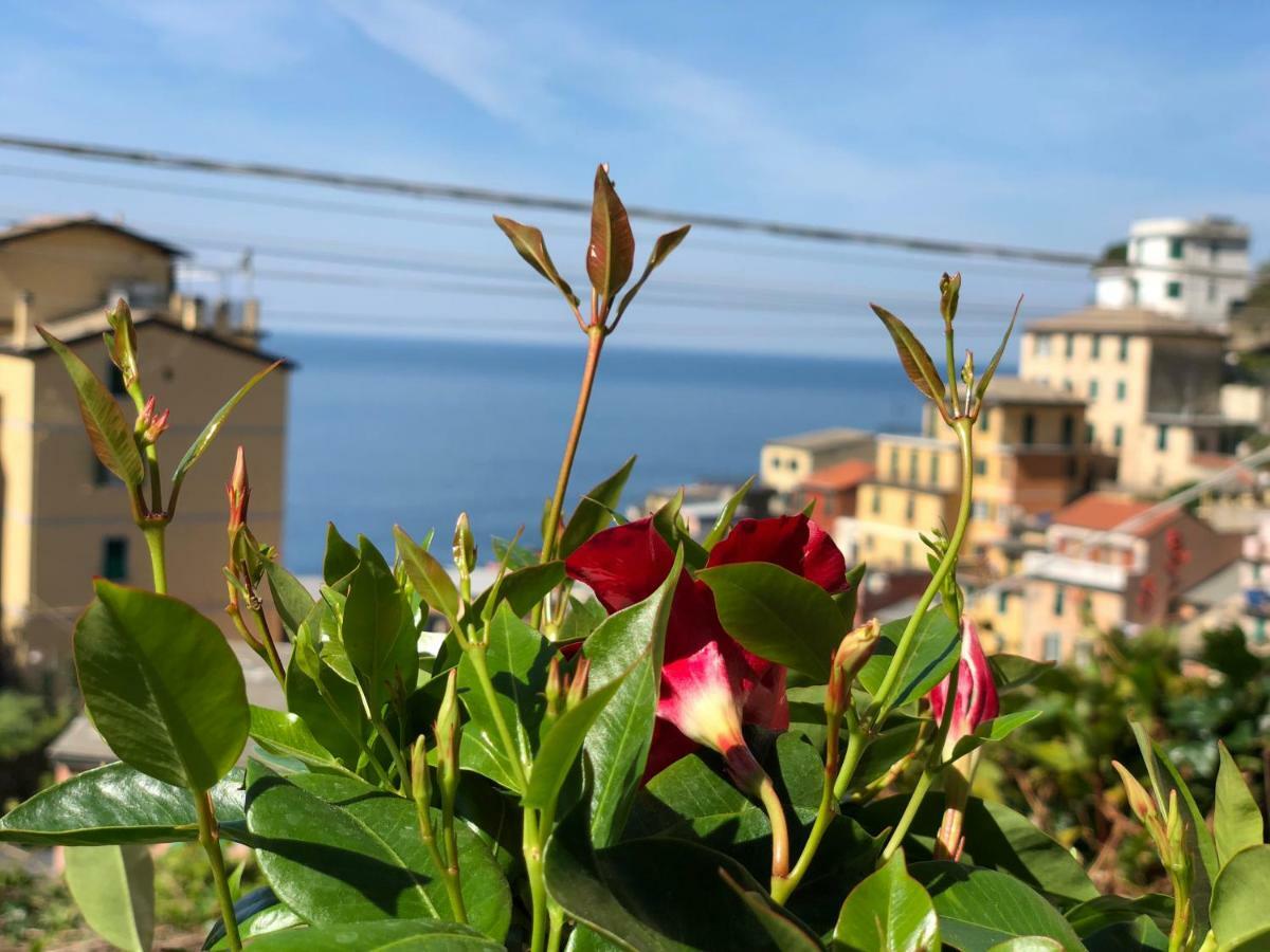 Готель Cinque Terre Coast To Coast Ріомаджоре Екстер'єр фото
